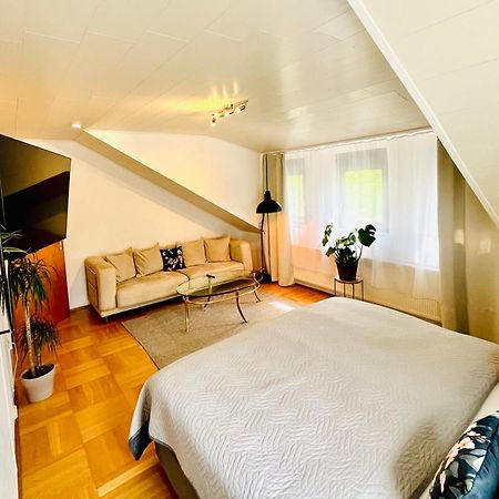 Casa Inn Parkview - Relax & Chill - Perfect For Business Travel, Weekend Trip, Family&Friends, Dogs Lover, Romance, Layover Or Longstay Лимбург-на-Лане Екстериор снимка