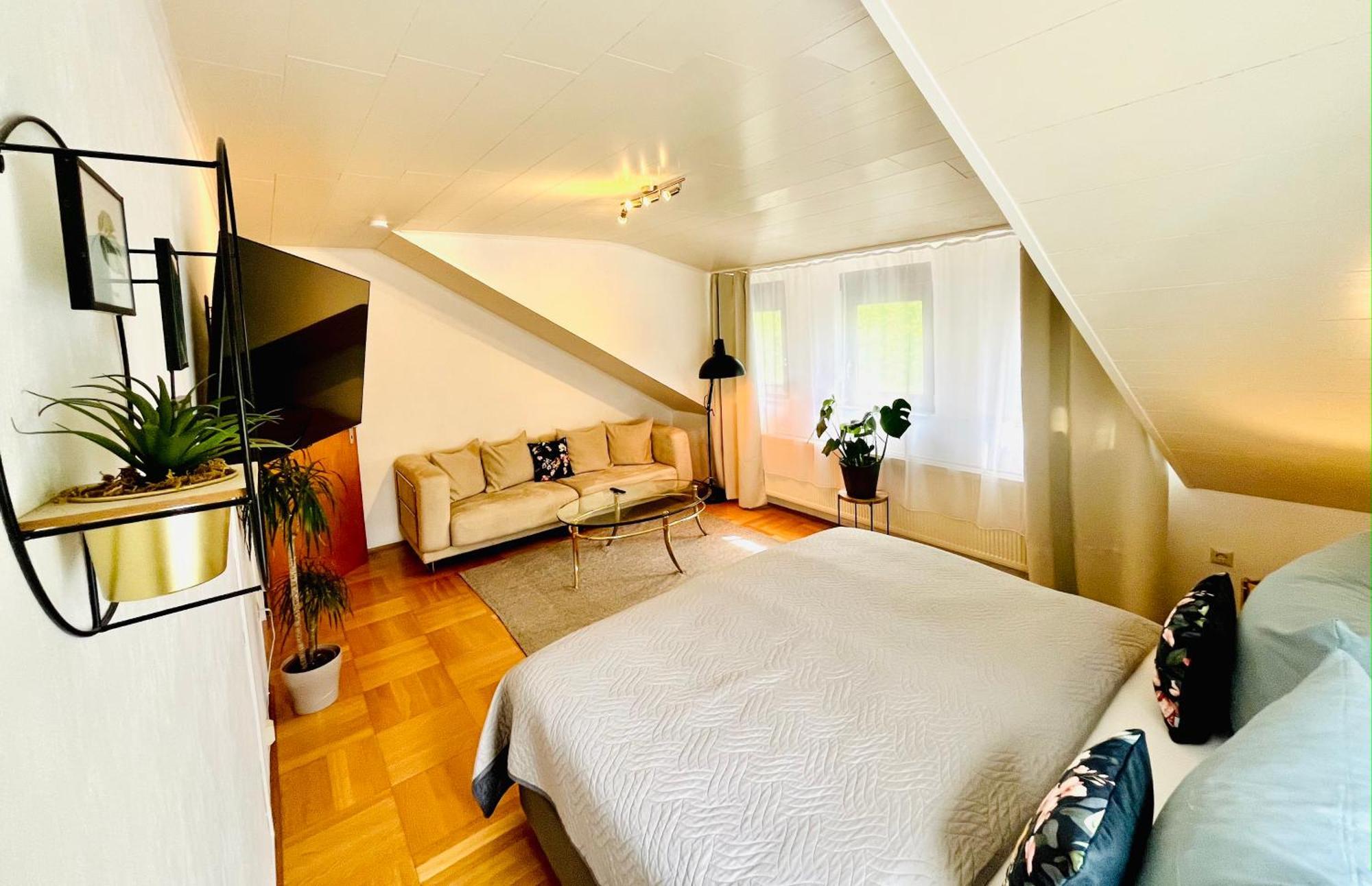Casa Inn Parkview - Relax & Chill - Perfect For Business Travel, Weekend Trip, Family&Friends, Dogs Lover, Romance, Layover Or Longstay Лимбург-на-Лане Екстериор снимка